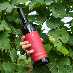 josetta-saffirio-brand-identity-wine-labels-chiani josetta-saffirio-brand-identity-wine-labels-chiani