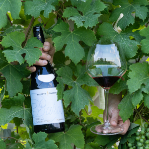 josetta-saffirio-brand-identity-wine-labels-chiani josetta-saffirio-brand-identity-wine-labels-chiani