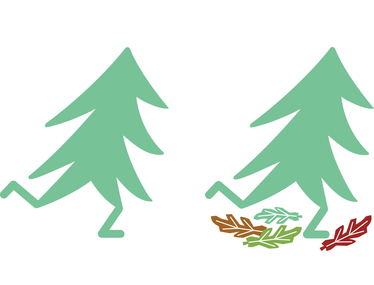 RunTrento-Identity-Graphics-Chiani