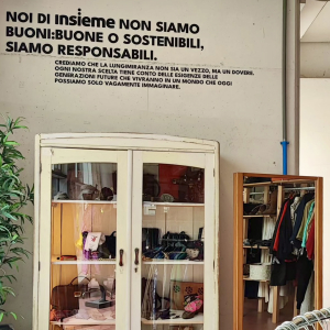 insieme-cooperativa-sociale-corporate-identity-system-chiani
